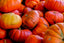 A 4-Step Gratitude Plan–Happy Thanksgiving!