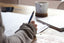 How to Train Your Brain to Be More Creative
