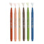 Le Pen- Earth 6-pack